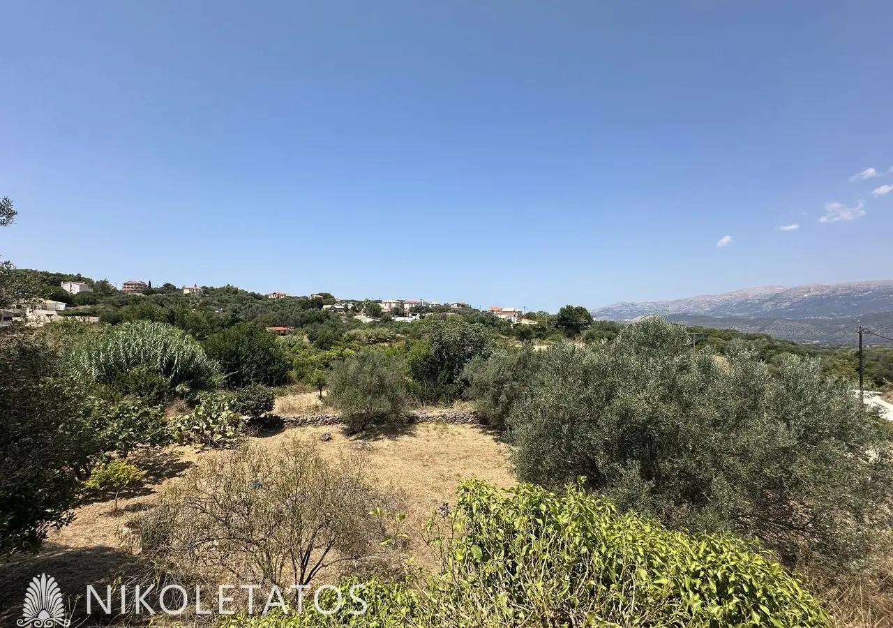 Land Of 3000 M² In Lakithra, Greece
