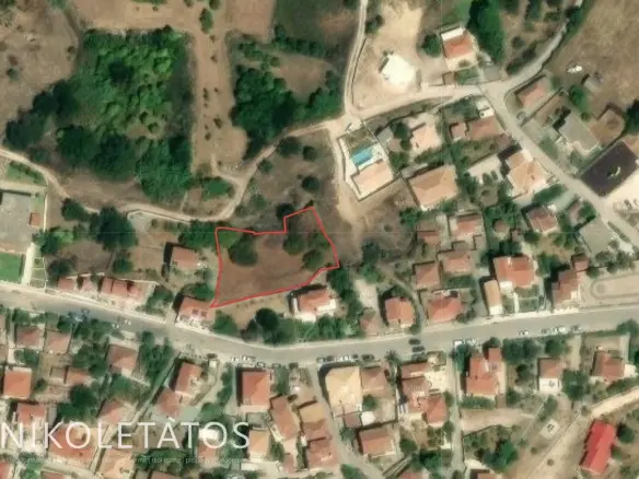 Land Of 3000 M² In Lakithra, Greece