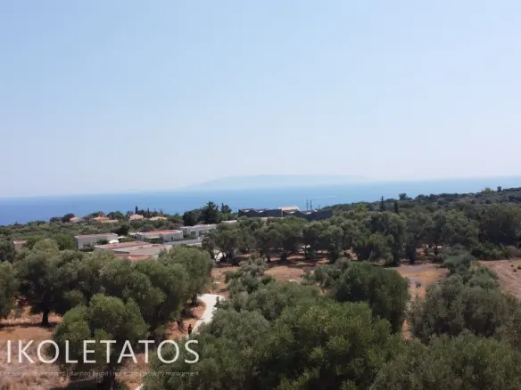 Land Of 1000 M² In Pessada, Greece
