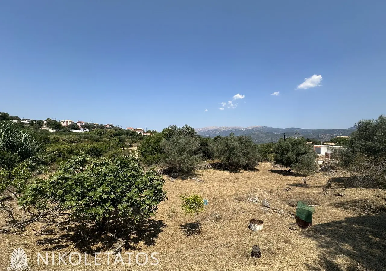Land Of 3000 M² In Lakithra, Greece