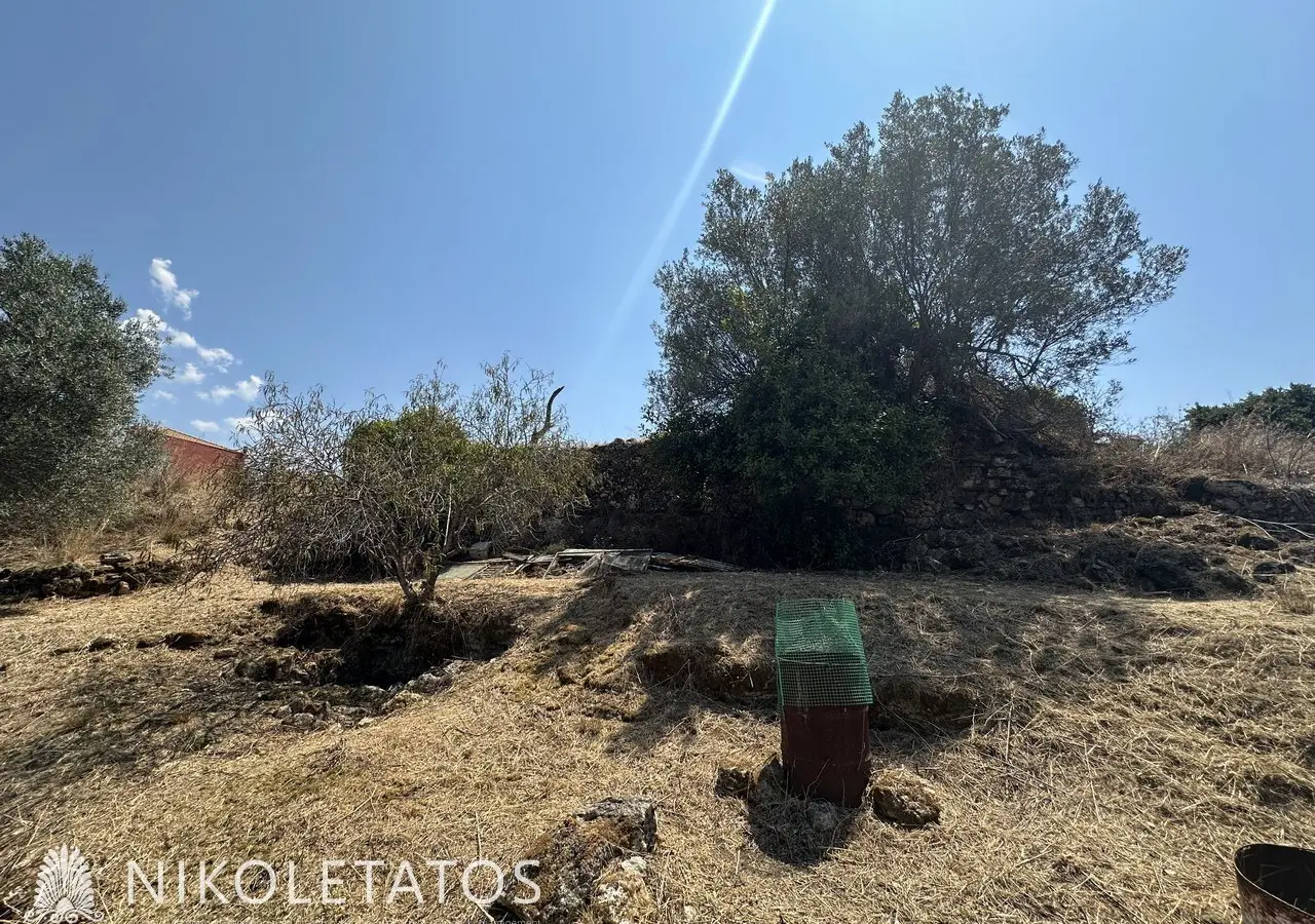 Land Of 3000 M² In Lakithra, Greece