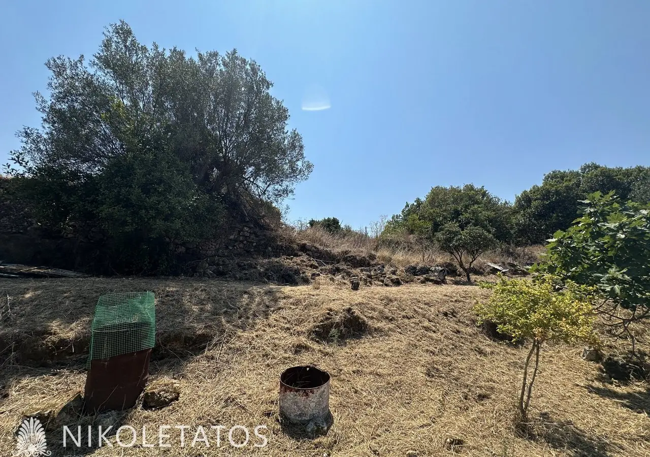 Land Of 3000 M² In Lakithra, Greece