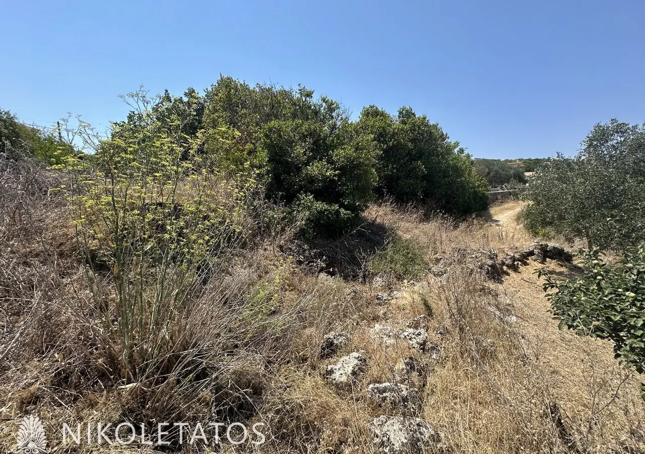 Land Of 3000 M² In Lakithra, Greece