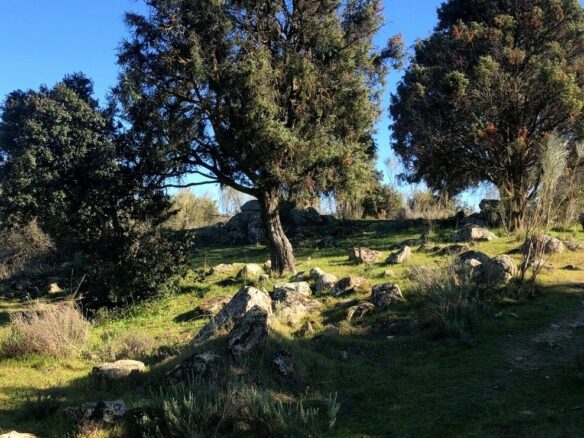 Exclusive 12.8-hectare Agricultural & Livestock Estate In The Guadarrama Natural Park – 35 Minutes From Madrid Airport