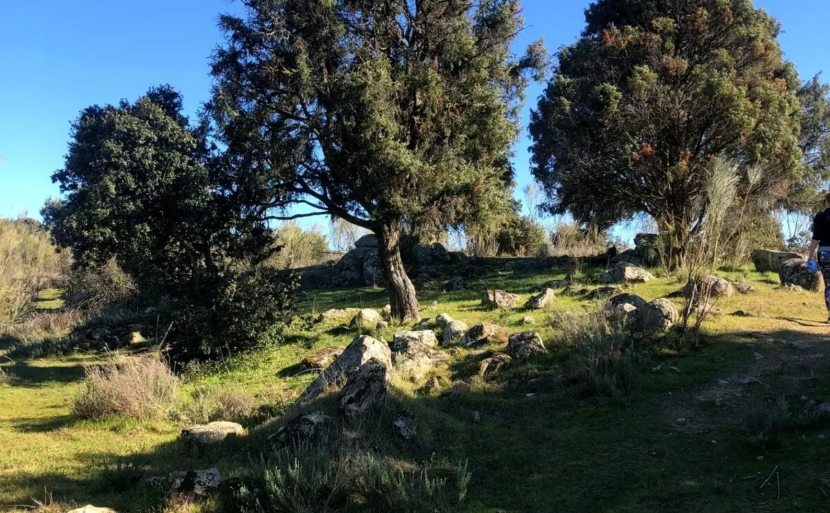 Exclusive 12.8-hectare Agricultural & Livestock Estate In The Guadarrama Natural Park – 35 Minutes From Madrid Airport