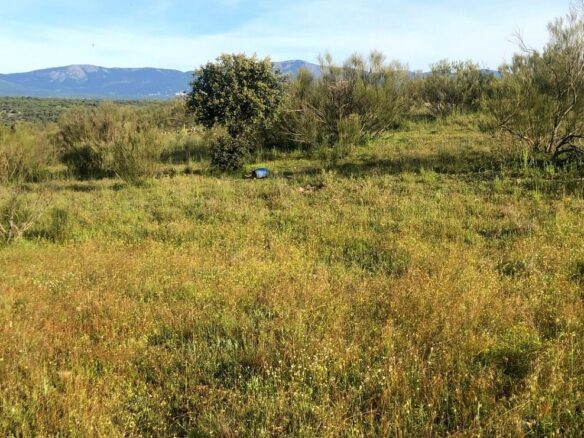 Exclusive 12.8-hectare Agricultural & Livestock Estate In The Guadarrama Natural Park – 35 Minutes From Madrid Airport