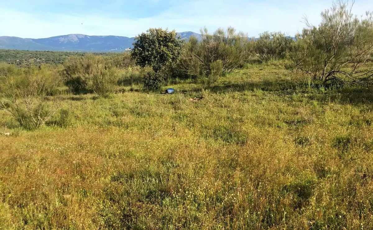 Exclusive 12.8-hectare Agricultural & Livestock Estate In The Guadarrama Natural Park – 35 Minutes From Madrid Airport