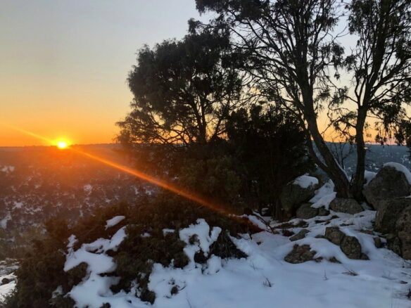 Exclusive 12.8-hectare Agricultural & Livestock Estate In The Guadarrama Natural Park – 35 Minutes From Madrid Airport