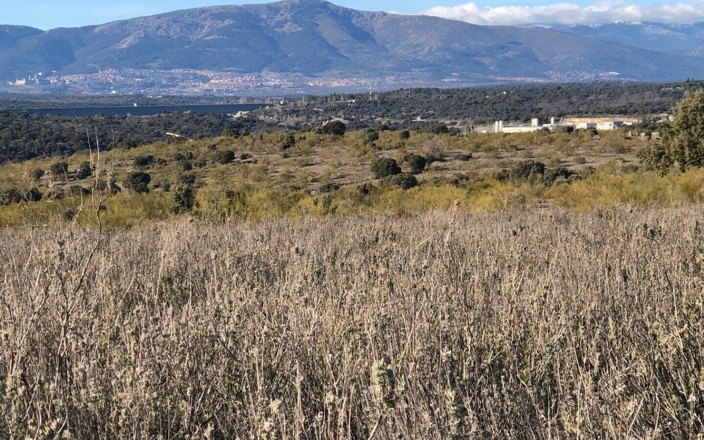Exclusive 12.8-hectare Agricultural & Livestock Estate In The Guadarrama Natural Park – 35 Minutes From Madrid Airport