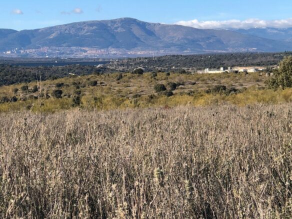 Exclusive 12.8-hectare Agricultural & Livestock Estate In The Guadarrama Natural Park – 35 Minutes From Madrid Airport