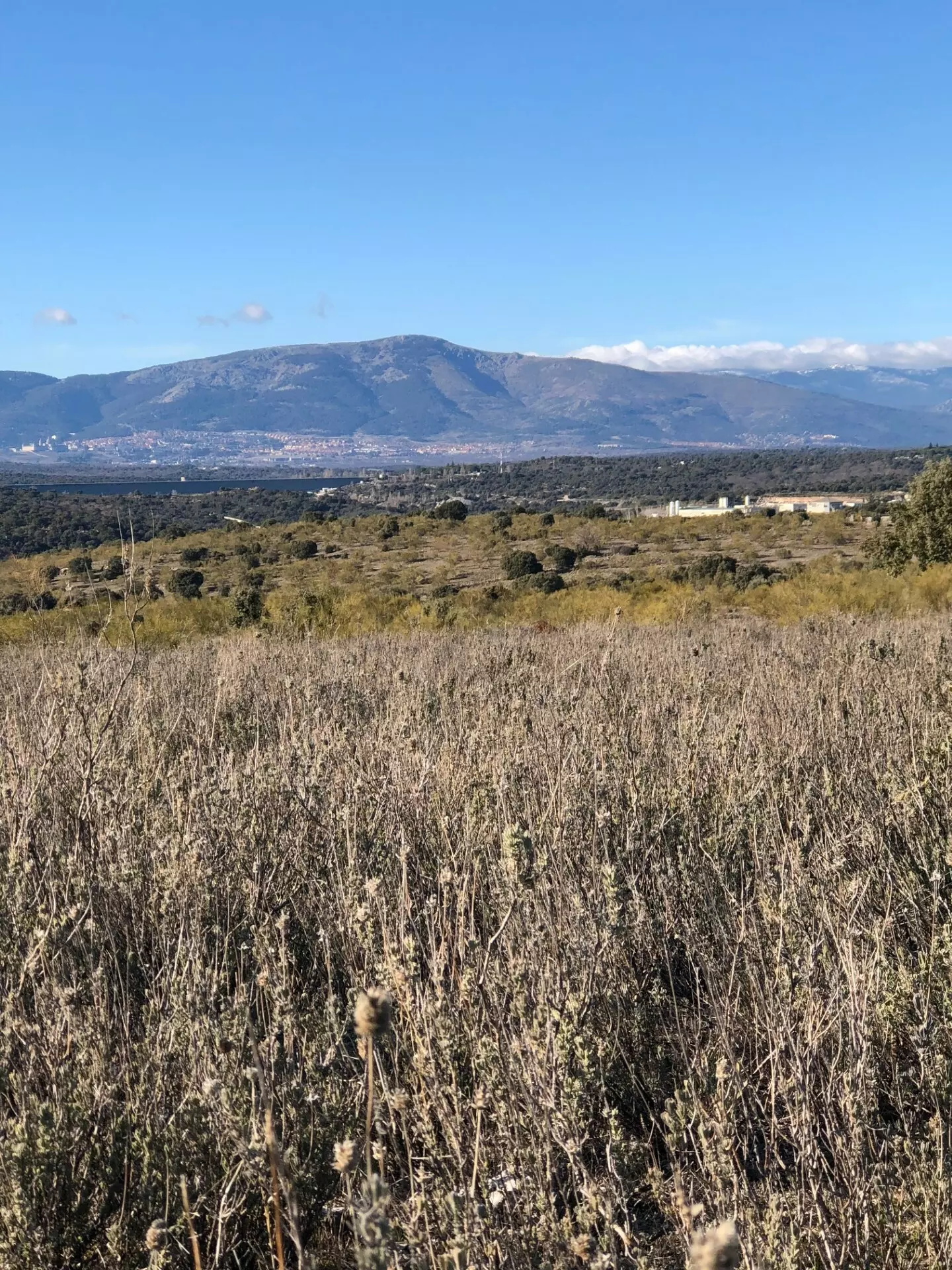 Exclusive 12.8-hectare Agricultural & Livestock Estate In The Guadarrama Natural Park – 35 Minutes From Madrid Airport