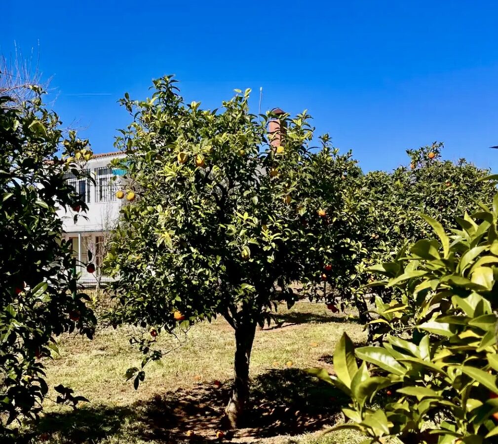 Villa Of 400 M² With Private Pool And 2,000 M² Plot Near Seville