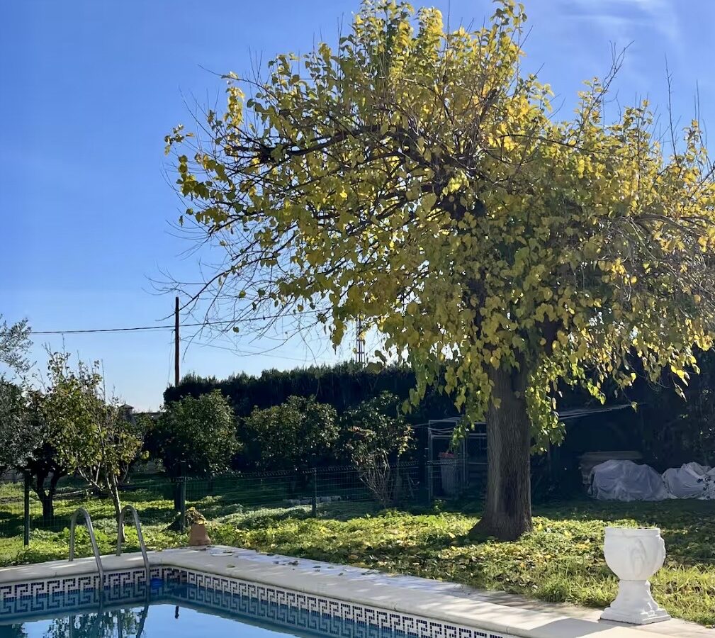 Villa Of 400 M² With Private Pool And 2,000 M² Plot Near Seville