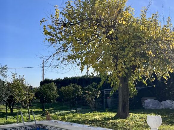 Villa Of 400 M² With Private Pool And 2,000 M² Plot Near Seville