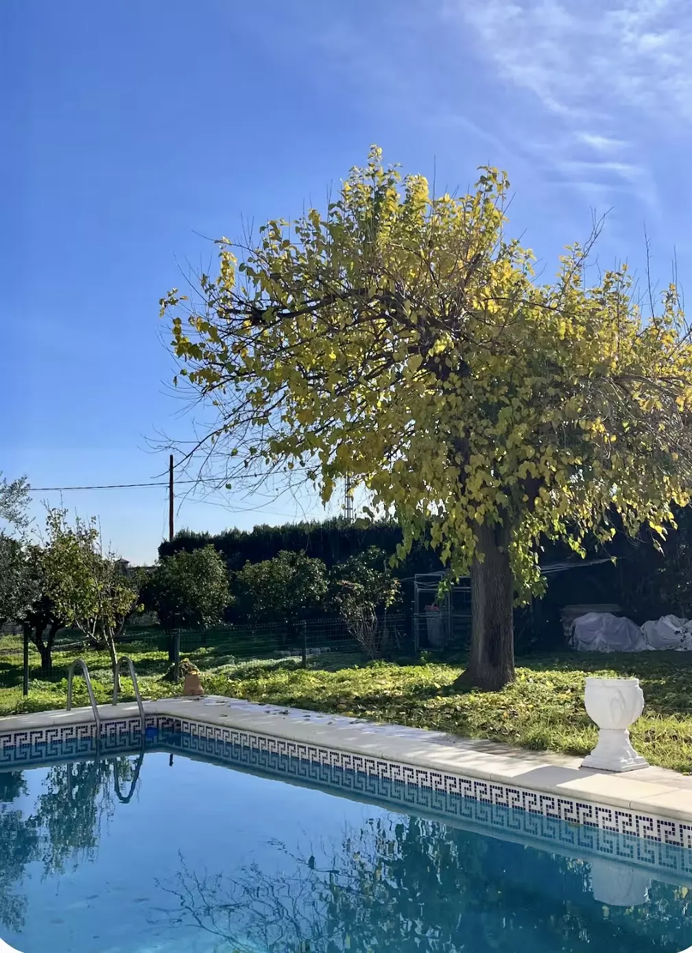 Villa Of 400 M² With Private Pool And 2,000 M² Plot Near Seville