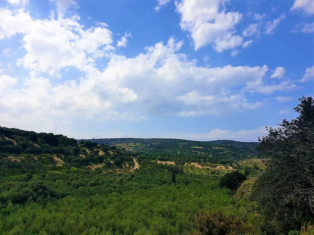 Land In Gouves, Greece