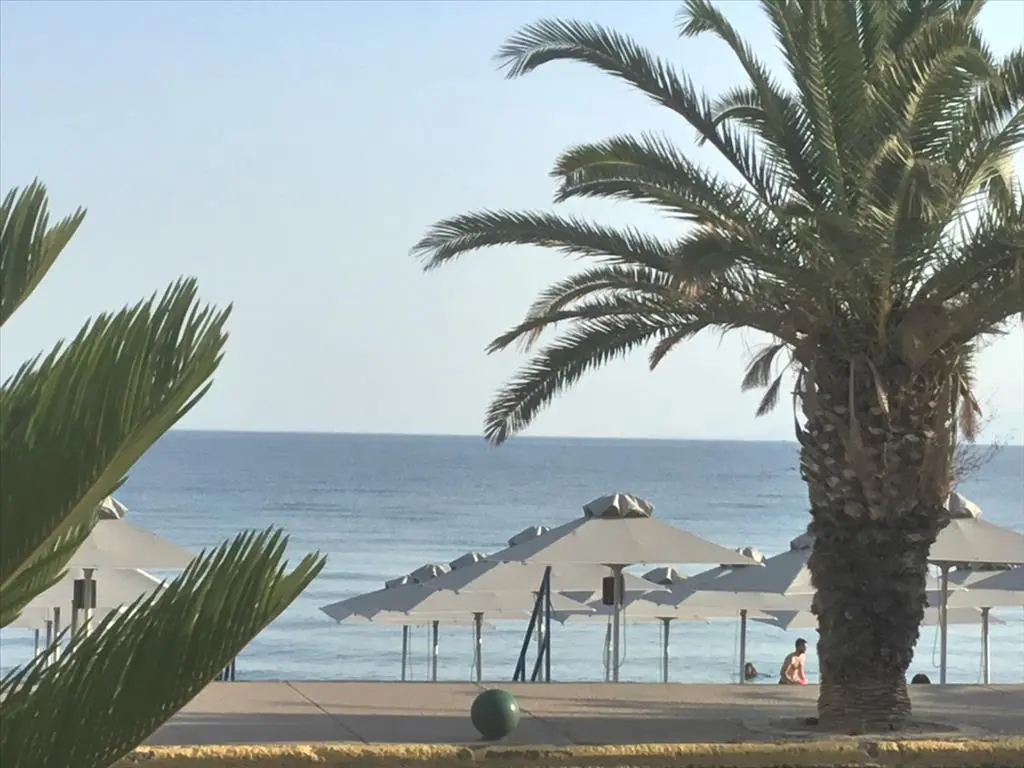 Commercial Property Of 160 M² In Western Peloponnese
