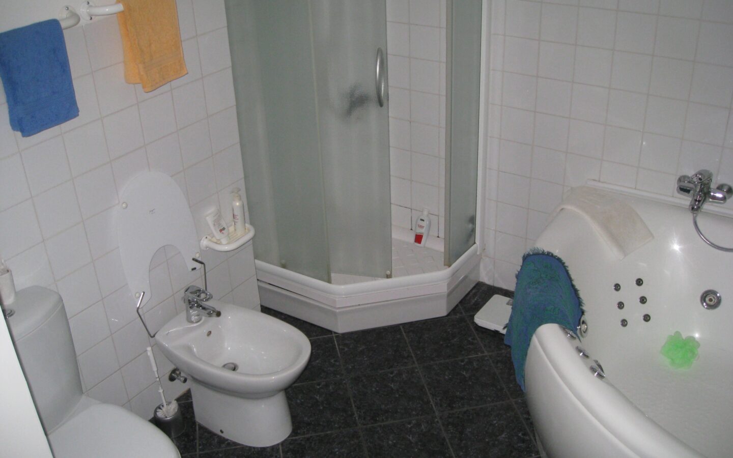 House Of 453 M² With Private Garden In Mežaparks, Riga