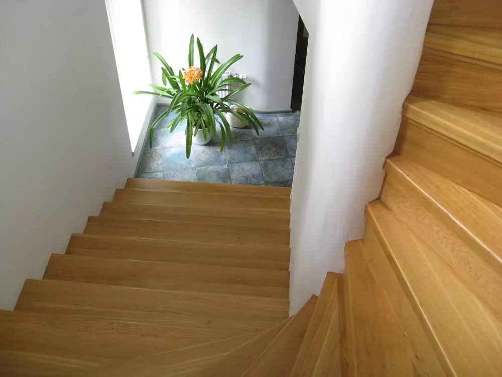 House Of 150 M² With Private Garden In Mežaparks, Riga