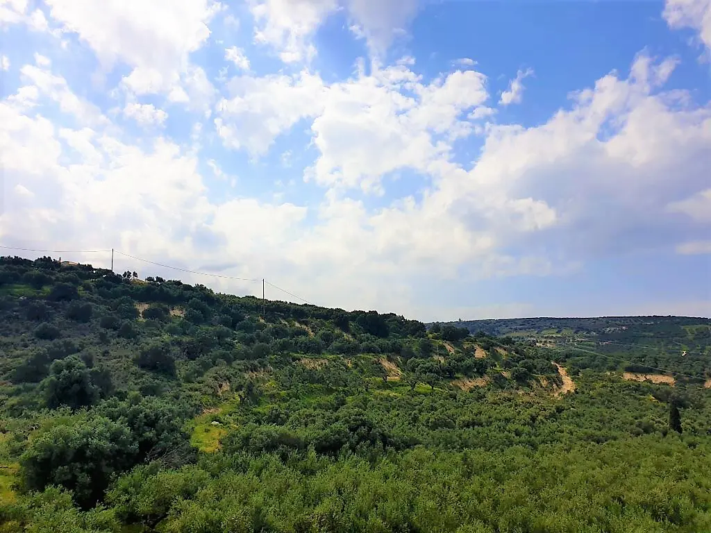 Land In Gouves, Greece