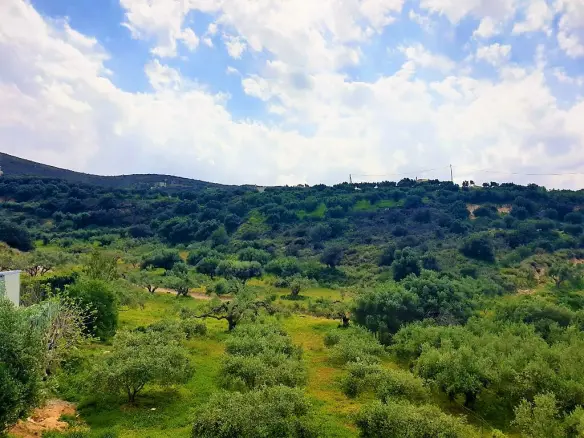 Land Of 1500 M² In Crete