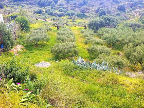 Land In Gouves, Greece