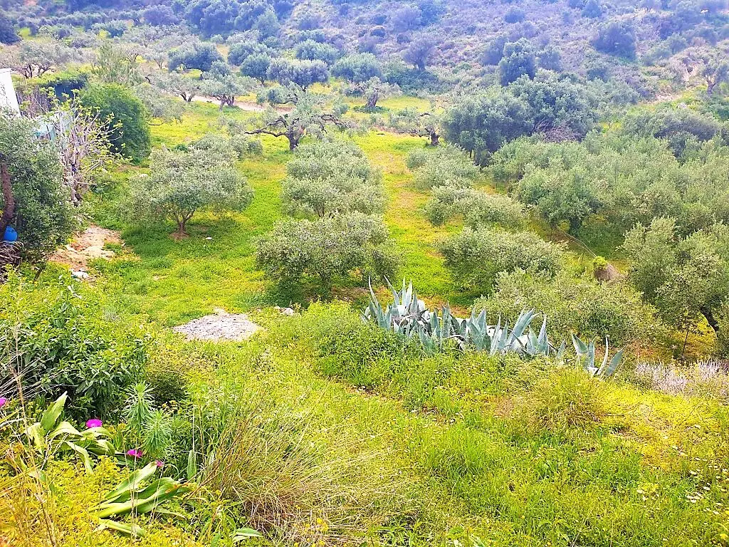 Land In Gouves, Greece