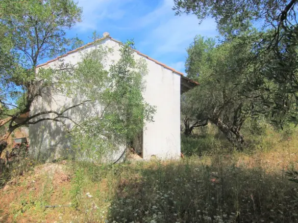 Land In Corfu, Greece