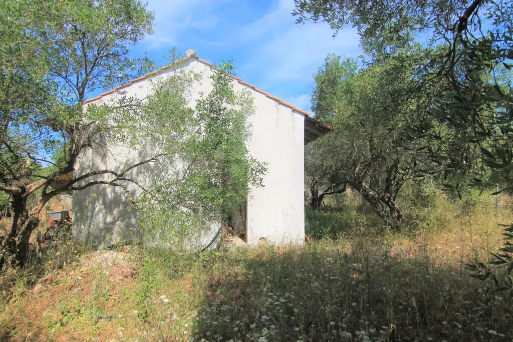 Land Of 10000 M² In Corfu