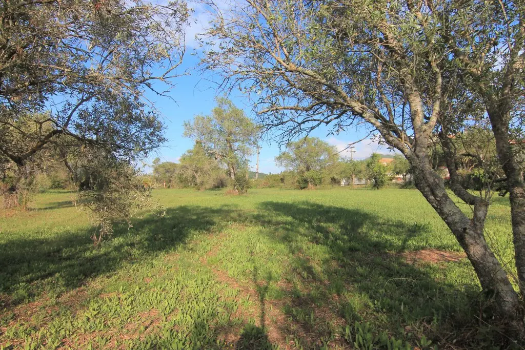 Land Of 4188 M² In Corfu