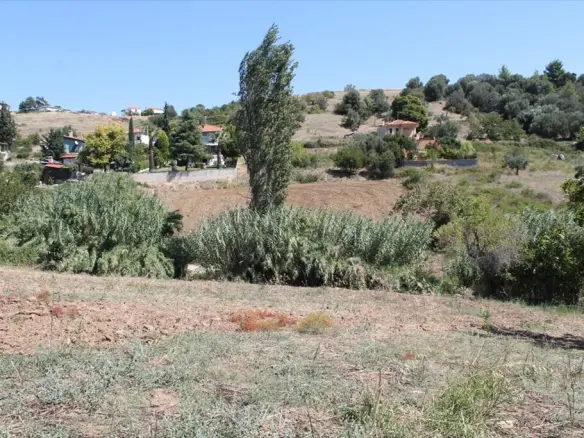 Land In Kassandra, Greece