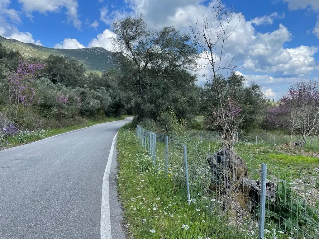 Land Of 1460 M² In Corfu