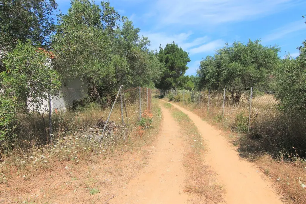 Land Of 10000 M² In Corfu