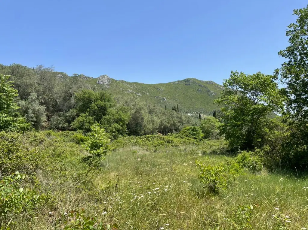Land Of 1460 M² In Corfu