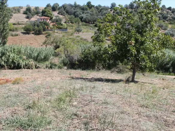 Land In Kassandra, Greece