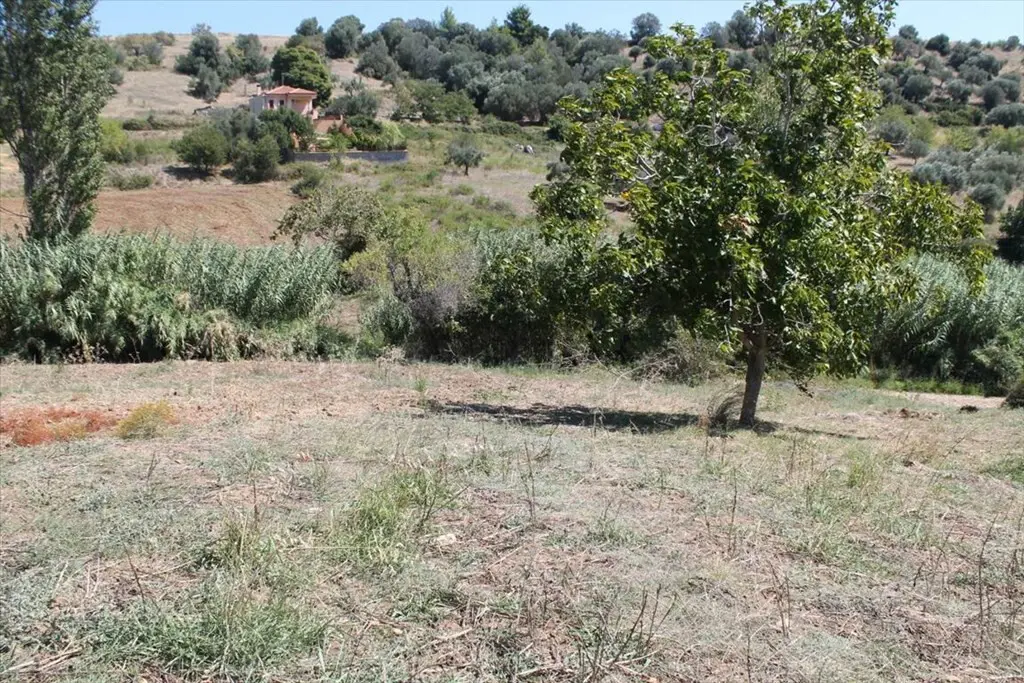 Land Of 1441 M² In Kassandra, Chalkidiki