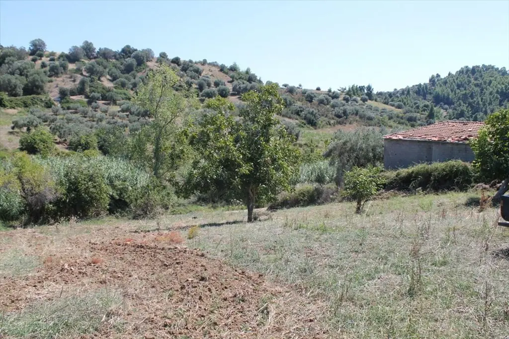 Land Of 1441 M² In Kassandra, Chalkidiki