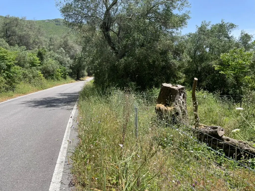 Land Of 1460 M² In Corfu