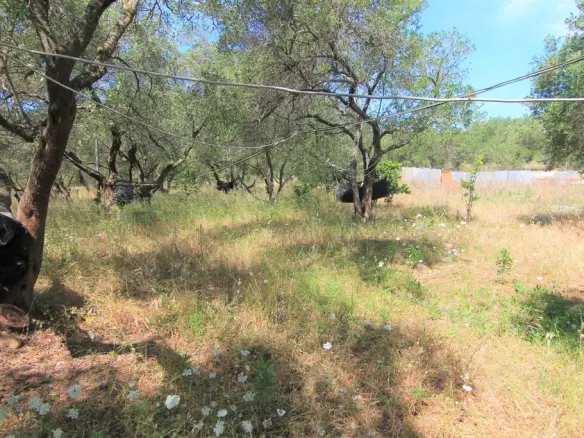 Land In Corfu, Greece
