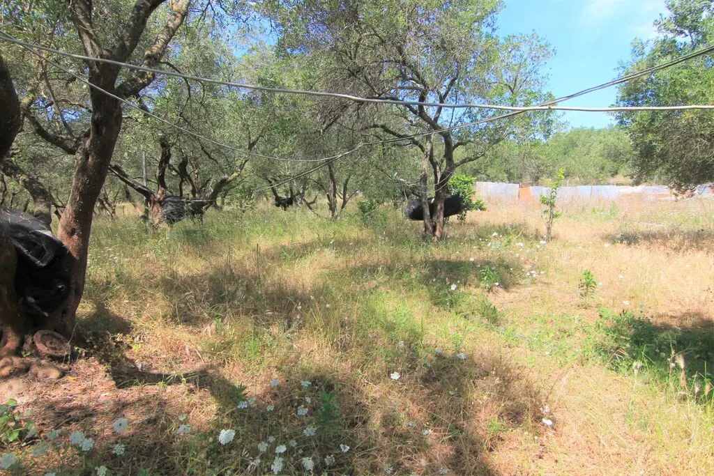 Land Of 10000 M² In Corfu