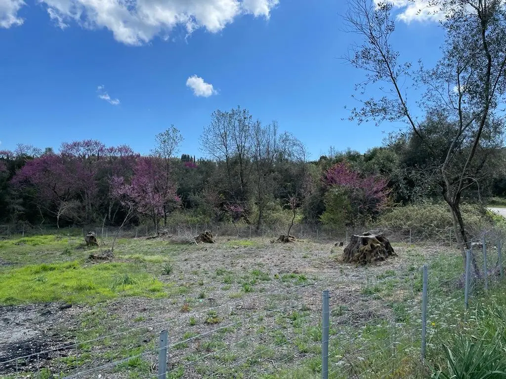 Land Of 1460 M² In Corfu