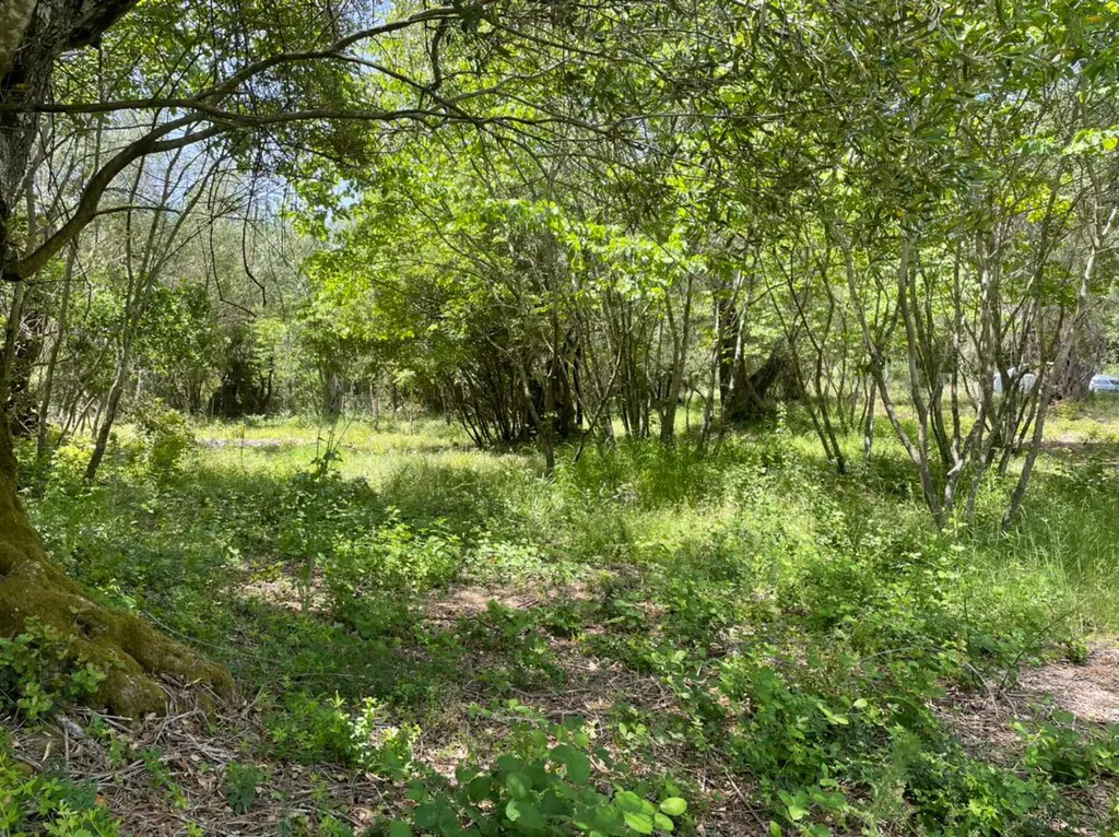 Land Of 1460 M² In Corfu