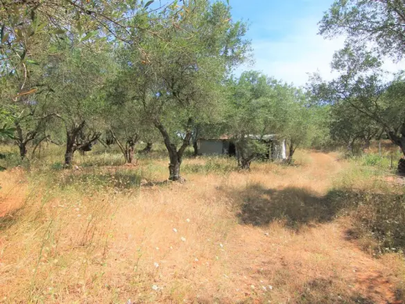 Land In Corfu, Greece