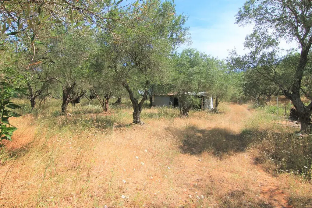 Land Of 10000 M² In Corfu
