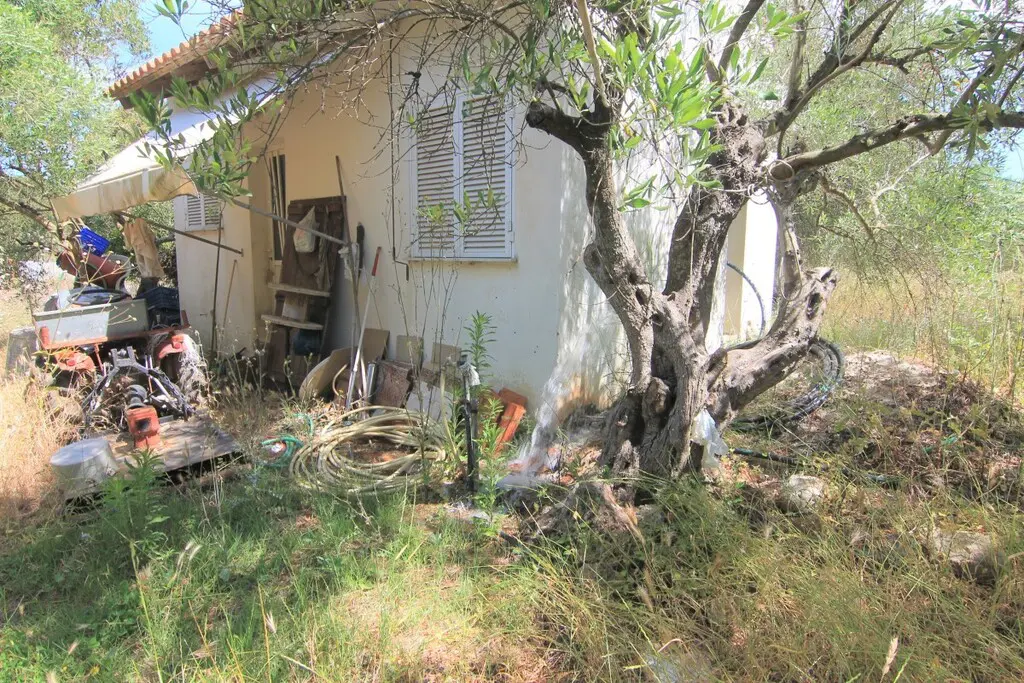 Land Of 10000 M² In Corfu