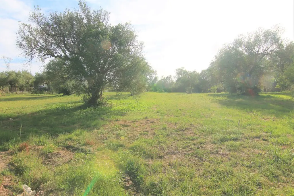 Land Of 4188 M² In Corfu