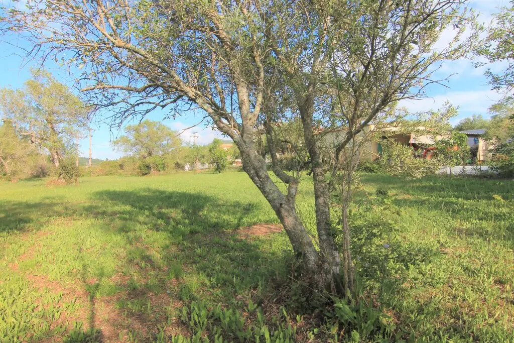 Land Of 4188 M² In Corfu