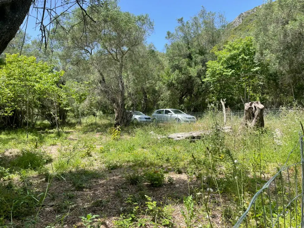Land Of 1460 M² In Corfu