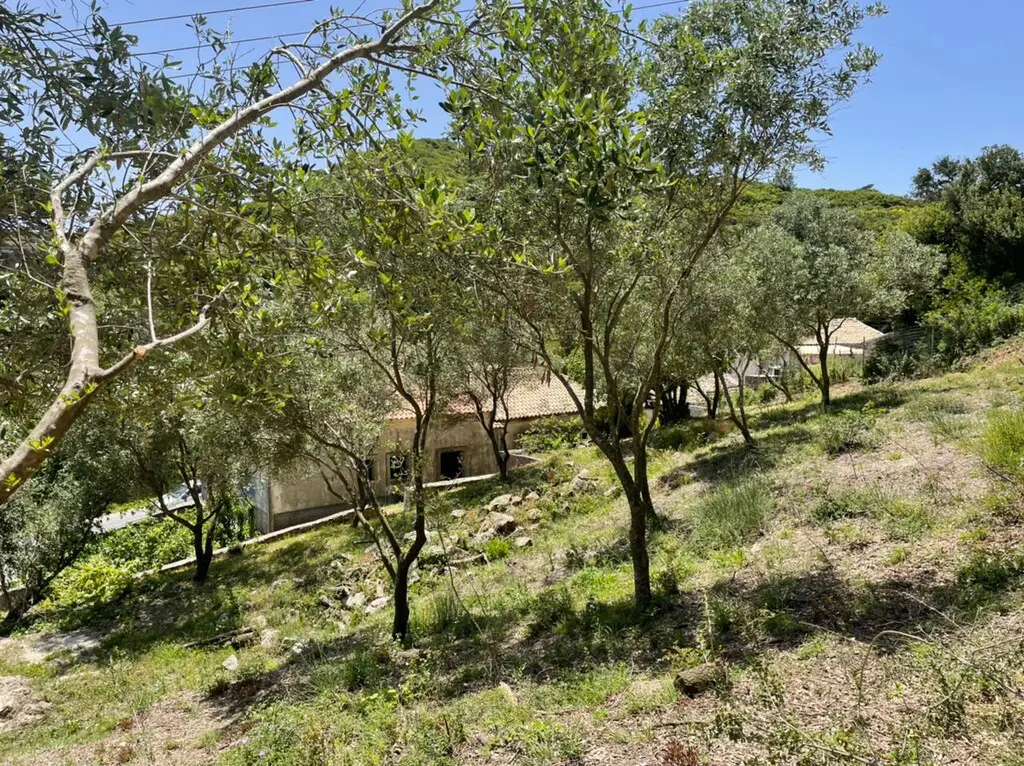 Building Of 160 M² In Corfu