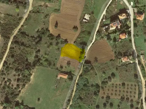 Land In Kassandra, Greece